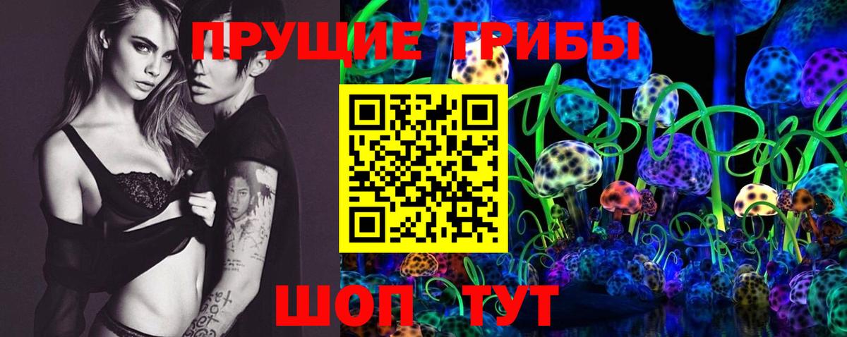 Псилоцибиновые грибы Psilocybine cubensis  Вход с VPN  Губаха 