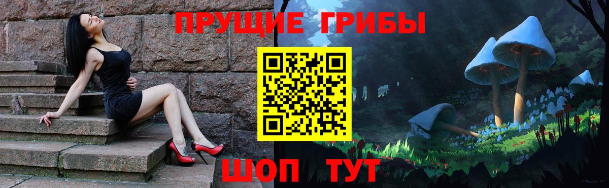 Галлюциногенные грибы прущие грибы Губаха