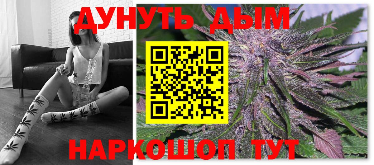 Губаха  Конопля VHQ  Бошки Шишки планчик  Бошки марихуана семена  Вход с VPN 